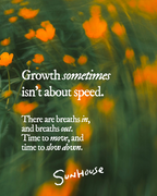 Slow Flow