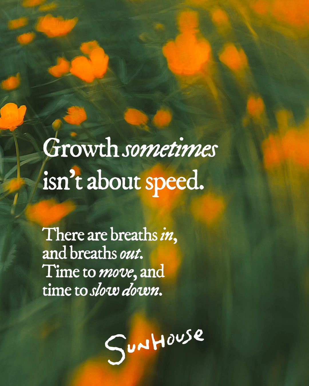 Slow Flow