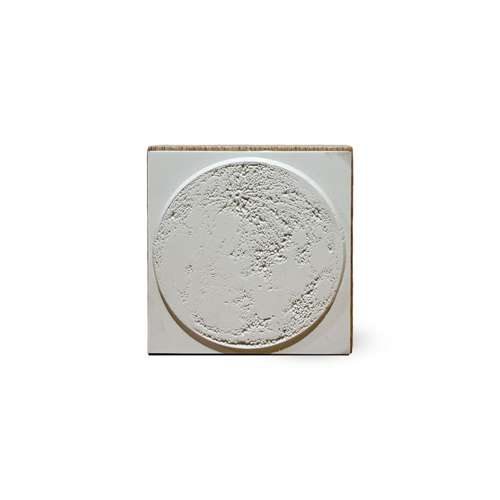 The Moon Stamp
