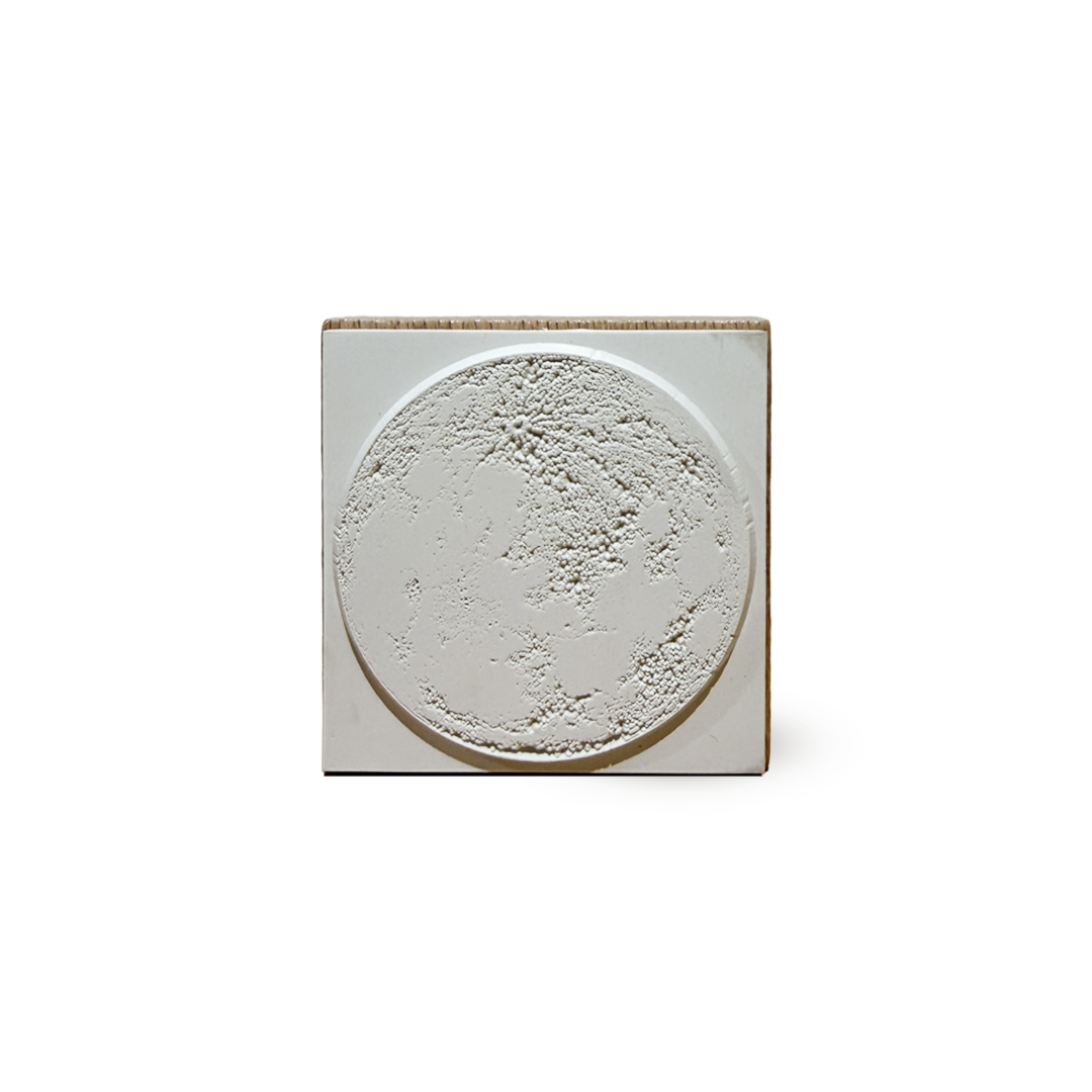 The Moon Stamp